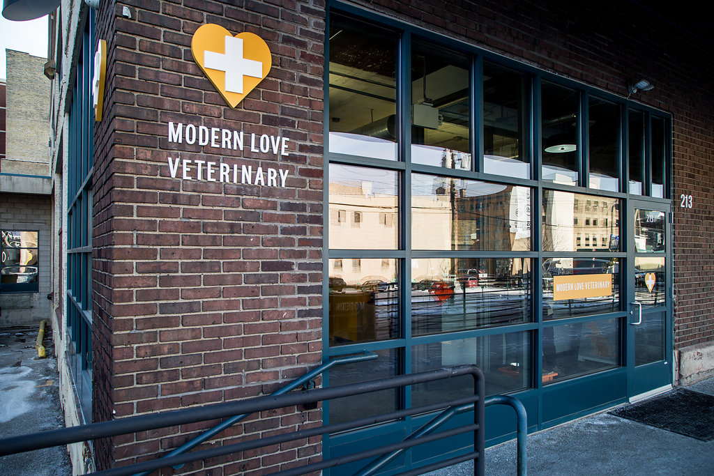 Exterior shot of modern love veterinary
