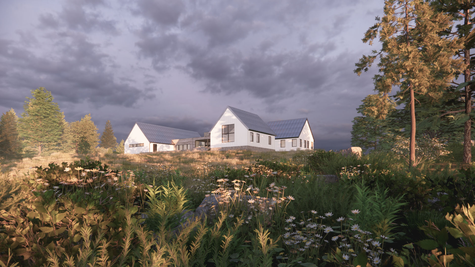 A rear exterior rendering of the Prairie Place residence (unbuilt) with white siding surrounded by a landscape of natural prairie grasses and flowers.